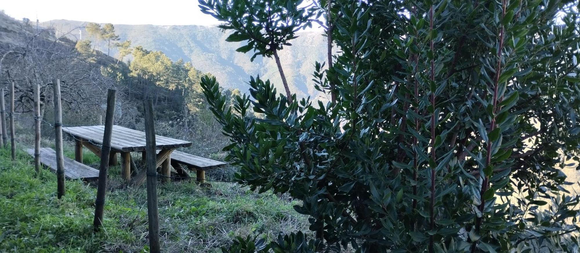 Penzion Casa Da Quelha Chas de Egua Exteriér fotografie